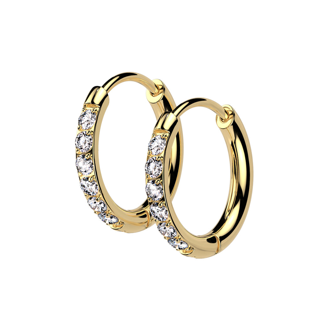 20G Pair of Titanium Hoop Earrings